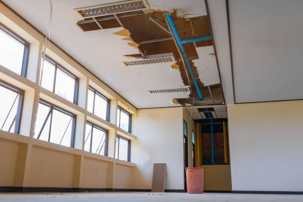 Best Water damage restoration near me  in Noblesville, IN