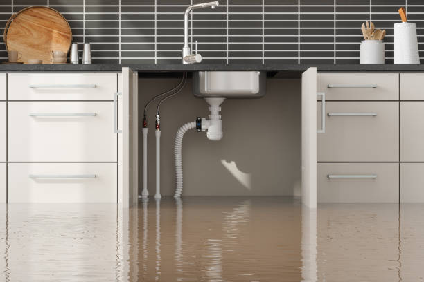 Best Basement water damage restoration  in Noblesville, IN