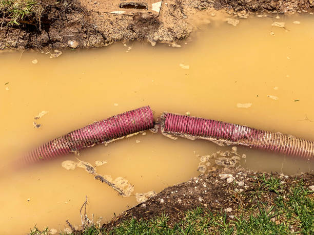 Best Water damage restoration near me  in Noblesville, IN